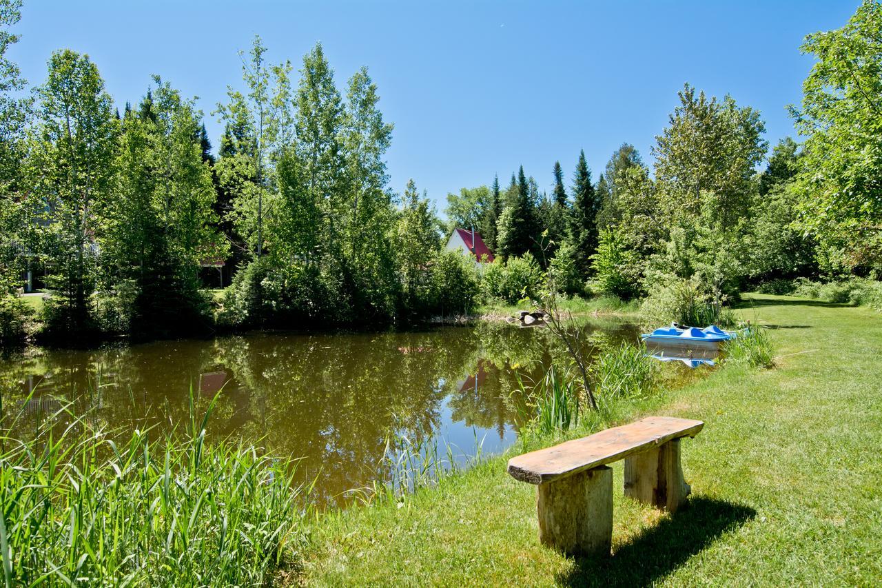 Saint Romain Camping Chalets Spas Pignons Rouges מראה חיצוני תמונה
