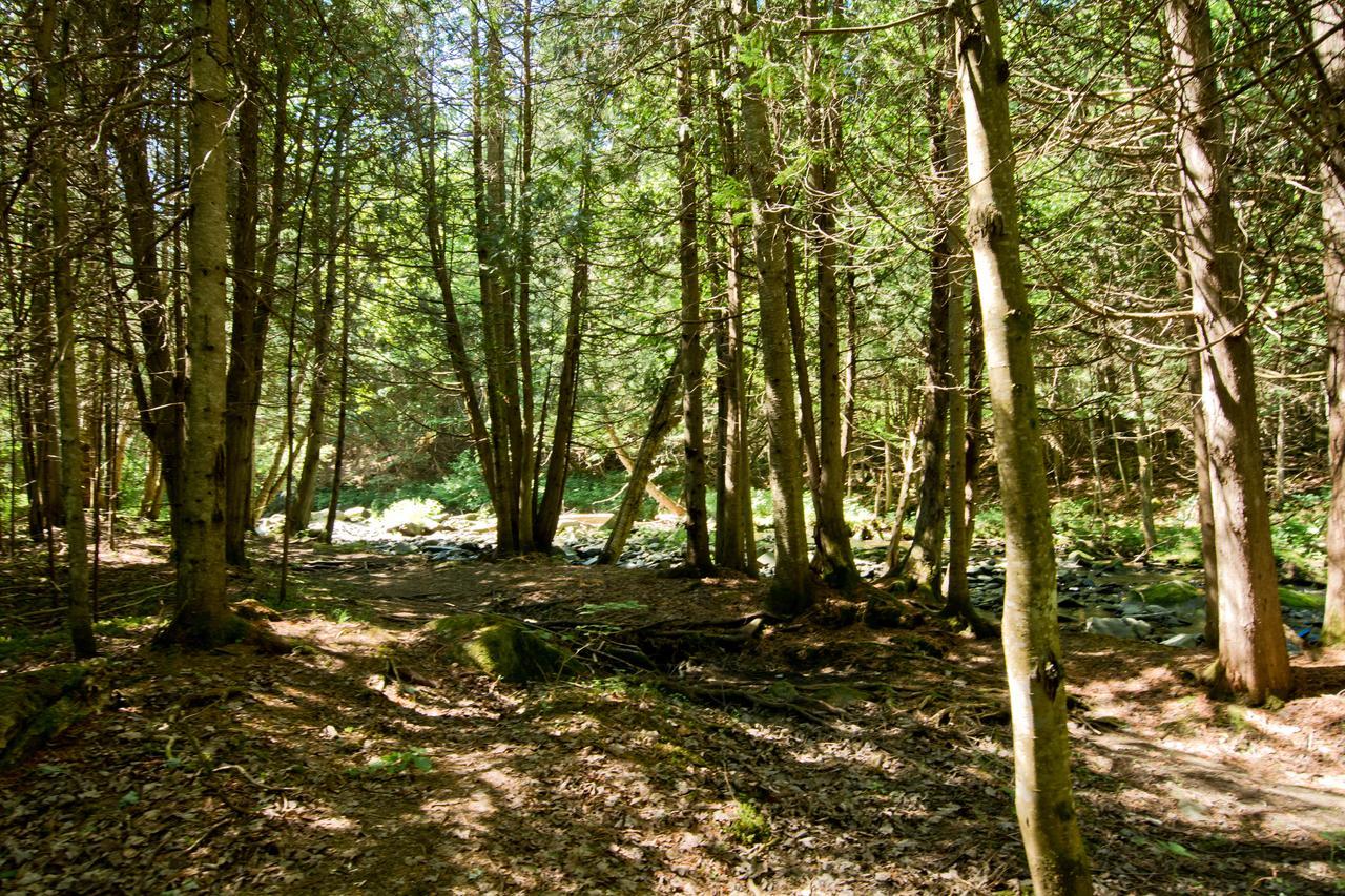 Saint Romain Camping Chalets Spas Pignons Rouges מראה חיצוני תמונה
